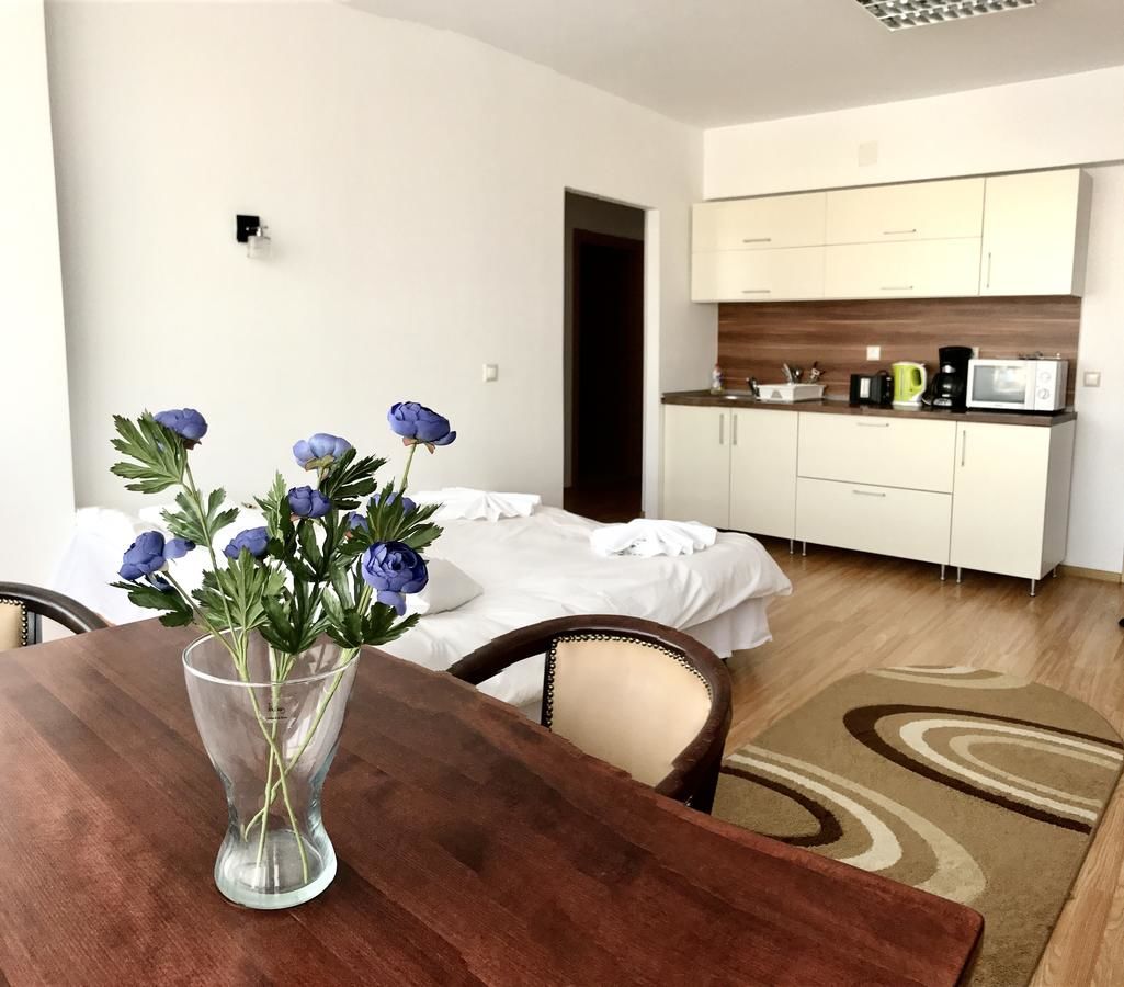 Отель ApartHotel Zorilor Клуж-Напока-27