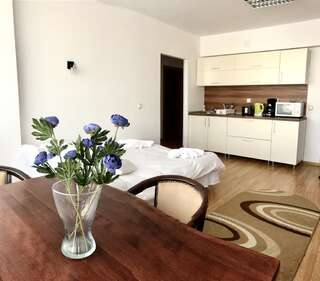 Отель ApartHotel Zorilor Клуж-Напока Апартаменты с 1 спальней-5