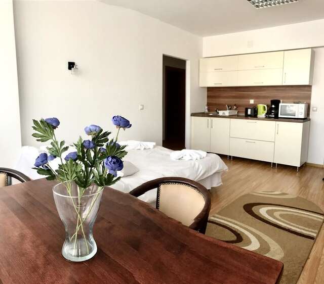 Отель ApartHotel Zorilor Клуж-Напока-26
